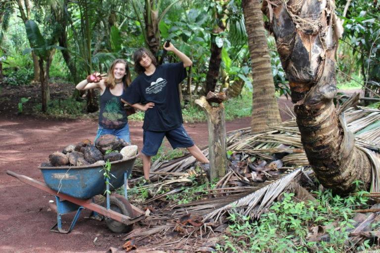 Paradise Eco Village Pahoa Luaran gambar
