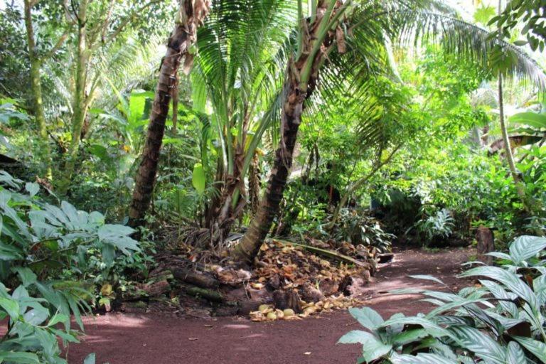 Paradise Eco Village Pahoa Luaran gambar