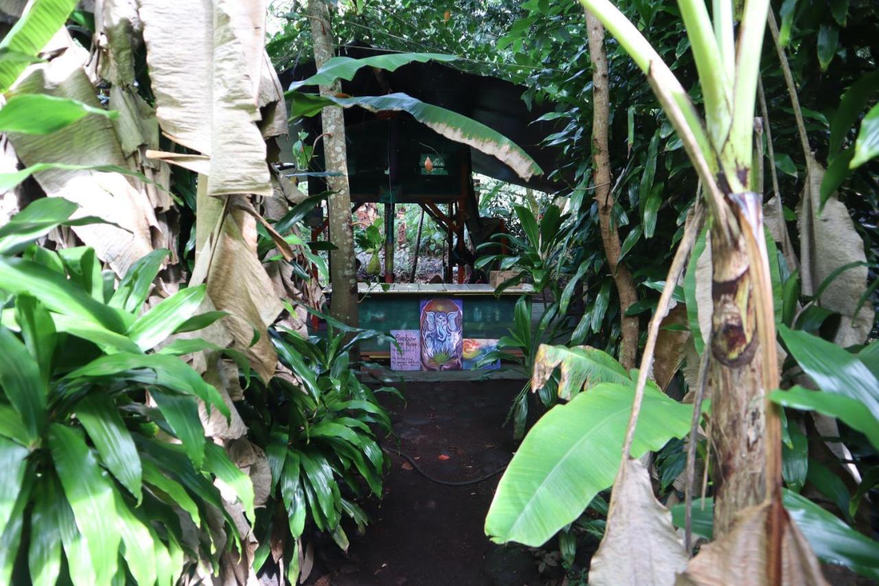 Paradise Eco Village Pahoa Luaran gambar