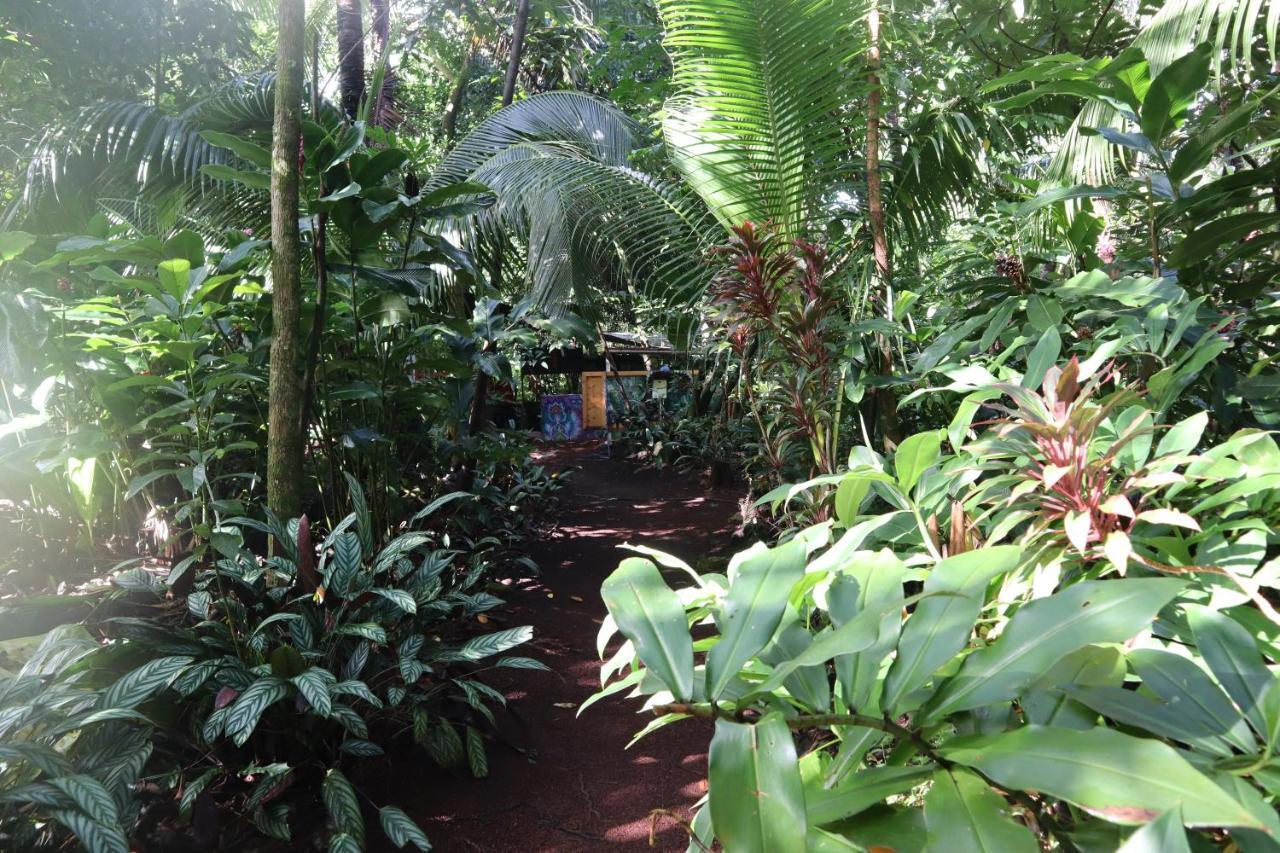 Paradise Eco Village Pahoa Luaran gambar
