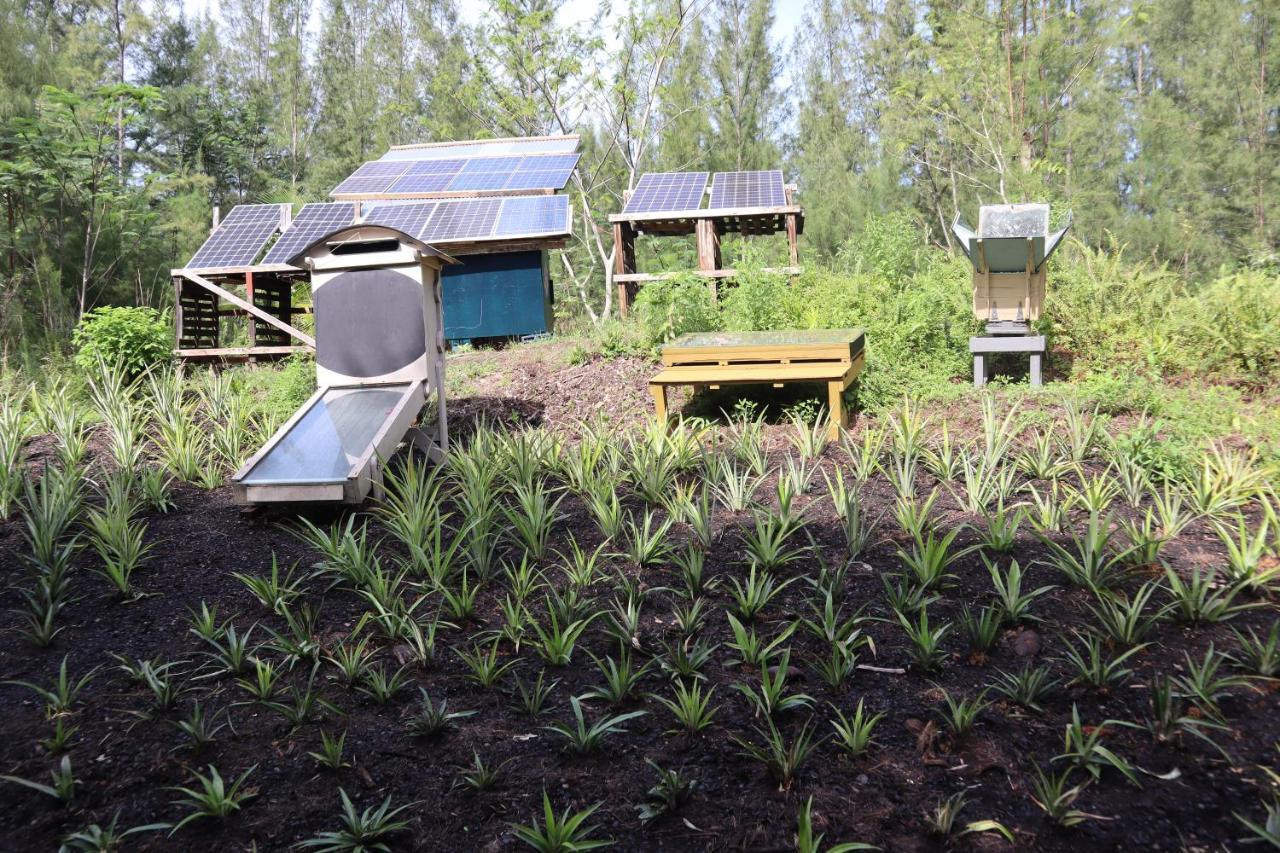 Paradise Eco Village Pahoa Luaran gambar