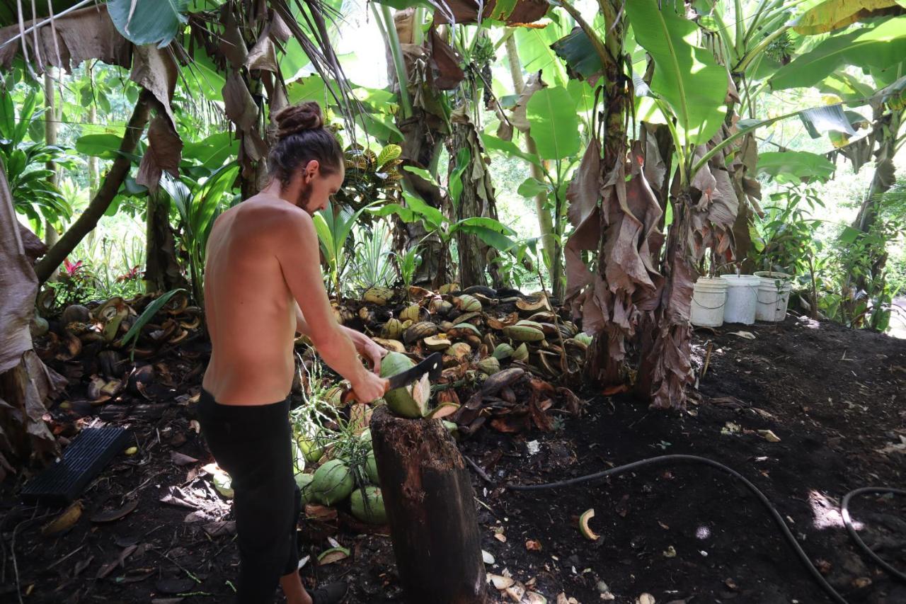 Paradise Eco Village Pahoa Luaran gambar
