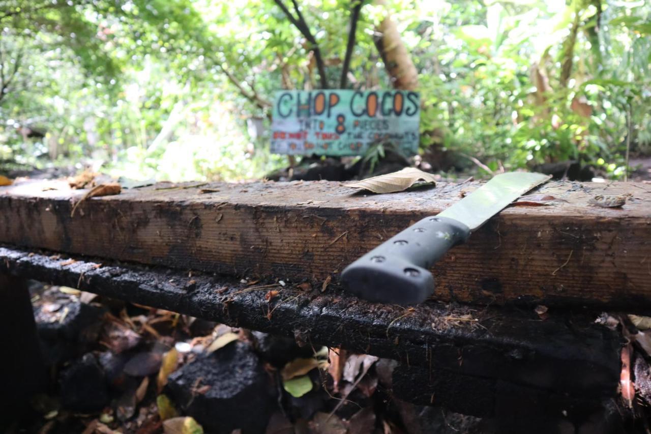 Paradise Eco Village Pahoa Luaran gambar